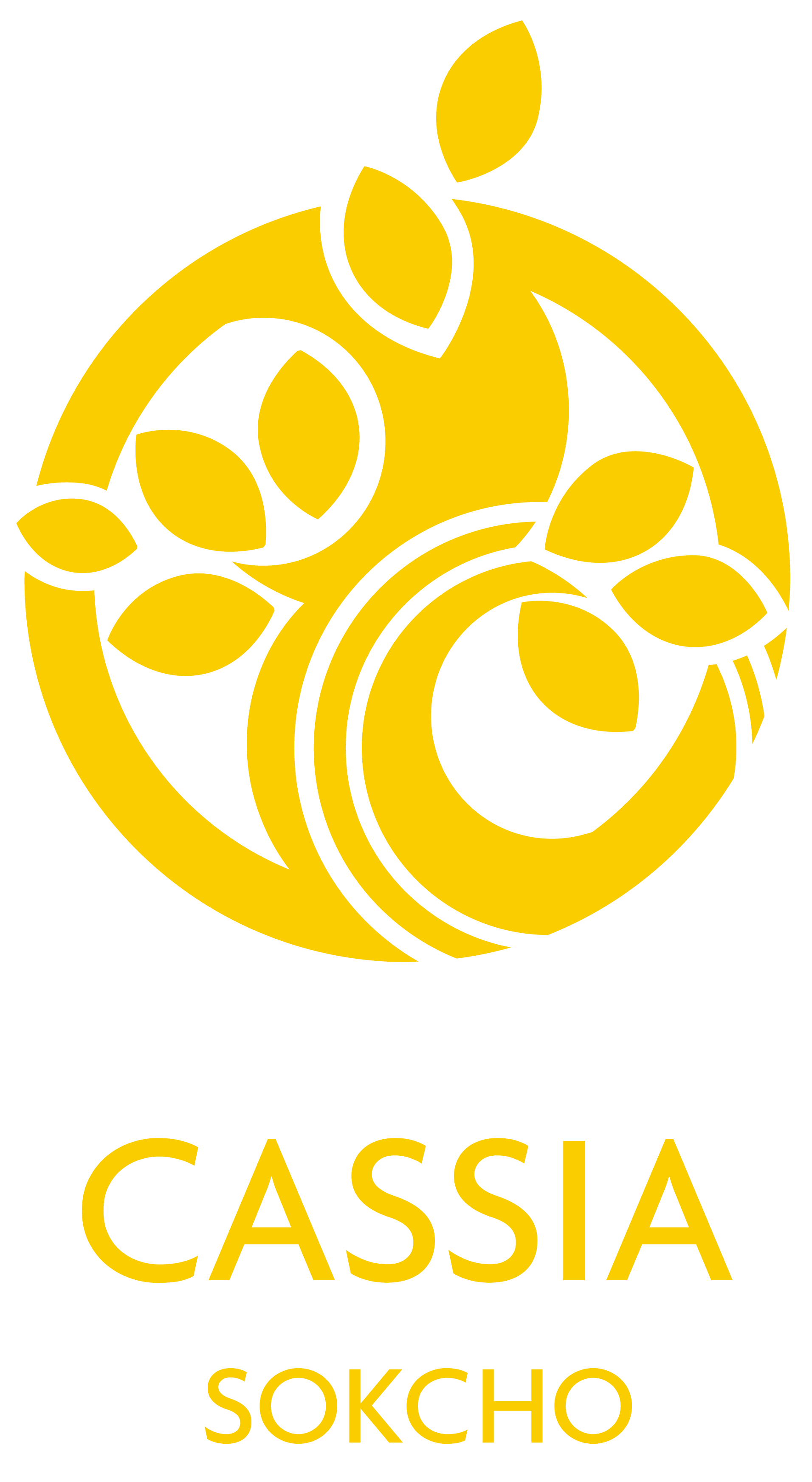 CASSIA SOKCHO